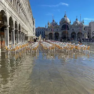 Peggy Venedig